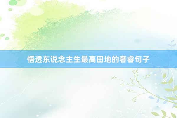悟透东说念主生最高田地的奢睿句子