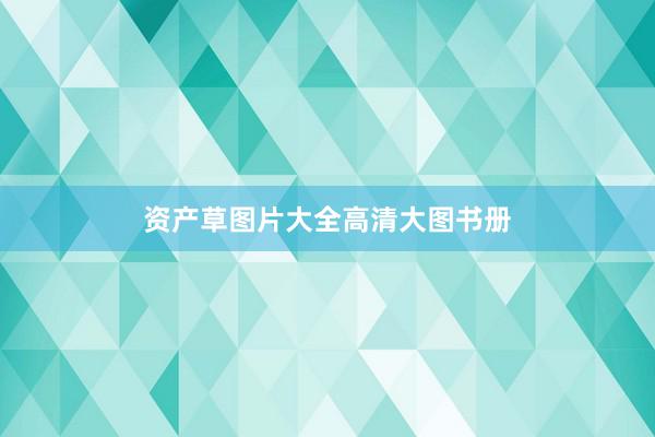 资产草图片大全高清大图书册
