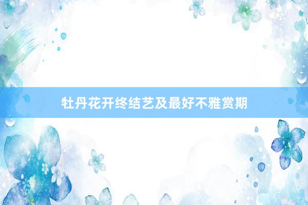牡丹花开终结艺及最好不雅赏期