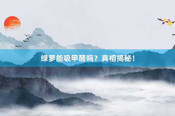 绿萝能吸甲醛吗？真相揭秘！