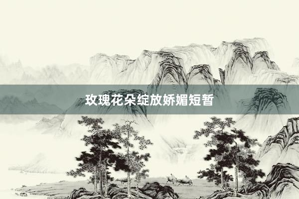 玫瑰花朵绽放娇媚短暂