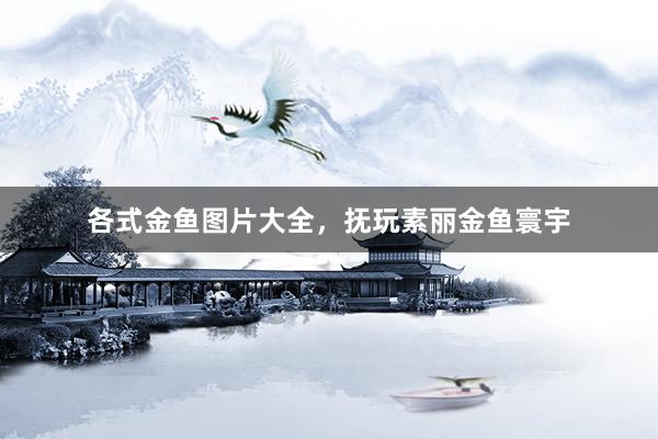 各式金鱼图片大全，抚玩素丽金鱼寰宇